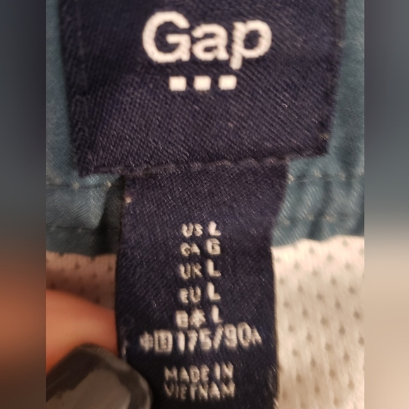 Gap Factory Size Large Board Shorts Swim Trunks Mesh Lined Striped Blue Green - Picture 13 of 15